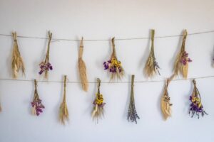 Skopelos Seamoon Apartment