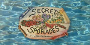 Skopelos Secret Sporades Palio Klima