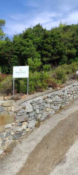 Skopelos Skalopati Studios Panormos