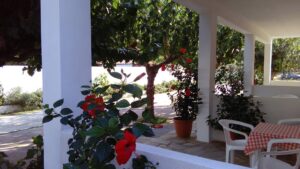 Skopelos Smaragdi Rooms Studios Stafylos