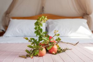 Skopelos Smaragdi Rooms Studios Stafylos