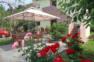 Σκόπελος Διαμερίσματα Κύματα, Στούντιο Διαμερίσματα