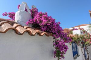 Skopelos Villea Seaview Apartments