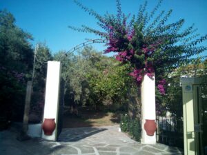 Skopelos Yades Panormos