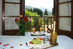 Skopelos Hotel Afrodite, Hotels, Hotels Aphrodite, Skopelos Afroditi Hotel, Panormos Beach, Sporades, Greece