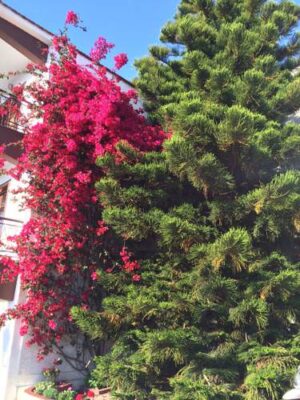 Skopelos Amalia Hotel, Hotels, Hotels Amalia, Chora, Town, Port, Mamma Mia Island, Sporades, Aegean, Greece