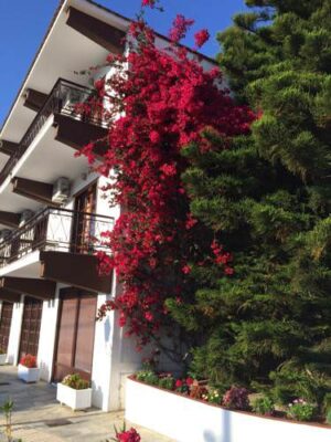 Skopelos Amalia Hotel, Hotels, Hotels Amalia, Chora, Town, Port, Mamma Mia Island, Sporades, Aegean, Greece