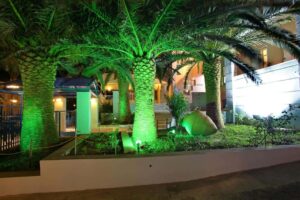 Skopelos Dolphin Hotel, Hotels, Hotel Dolphin, Accommodation, Town, Port, Mamma Mia Island, Aegean Greece