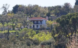 Skopelos Alikias Country House