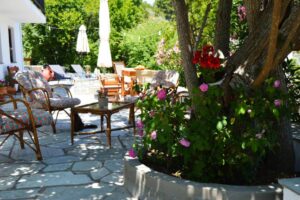 Skopelos Alikias Country House