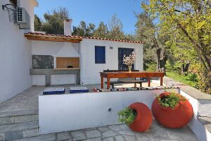 Skopelos Alikias Country House