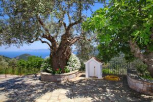 Skopelos Anania Cottage