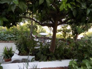 Skopelos Angelinas House 7