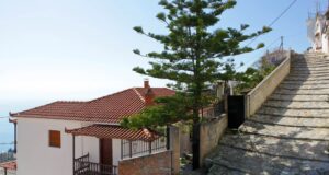 Skopelos Apsenti House