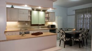 Skopelos Apsenti House