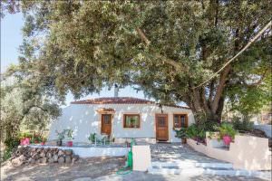 Skopelos Aria Home Stafylos