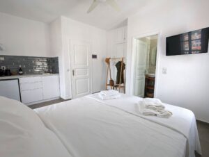 Skopelos Botanist Guest House Town