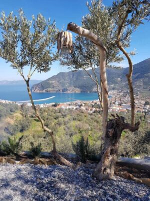 Skopelos Eunices House