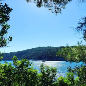 Skopelos Fasolaki Stay Food Experience