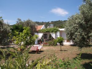 Skopelos Ilionis House