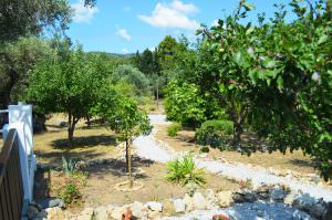 Skopelos Kalokairi Cottage