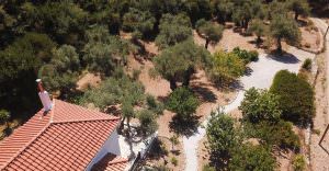 Skopelos Kalokairi Cottage