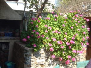 Skopelos Kyria Forence House