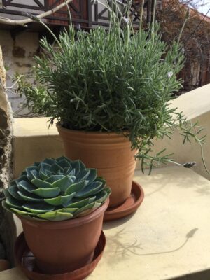 Skopelos Kyria Forence House