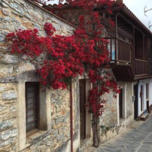 Skopelos Lovely Home Glossa