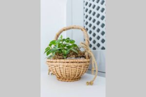 Skopelos Myrtia House