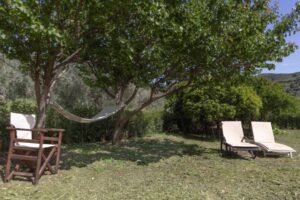 Skopelos Olivetree Private Villa Chora Houses