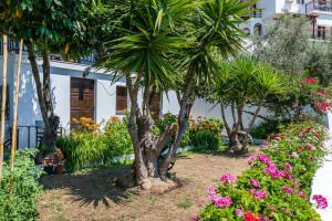 Skopelos Ouranio Home Apartments Chora Town