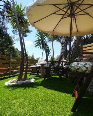 Skopelos Pine Trees Agnontas