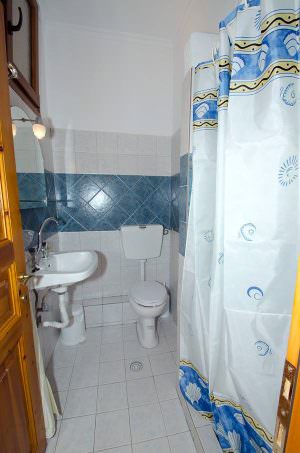 Skopelos Pine Trees Agnontas