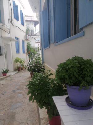 Skopelos Sofadaki House Houses