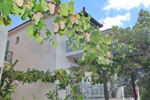 Skopelos Pansion Prodromina