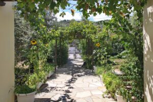 Skopelos Pansion Prodromina