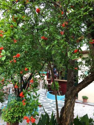 Skopelos Pension Soula