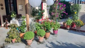 Skopelos Pension Soula