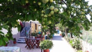 Skopelos Pension Soula