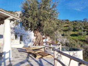 Skopelos Christine House