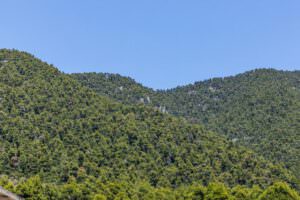 Forest View Villa Skopelos Pool Villa Neo Klima