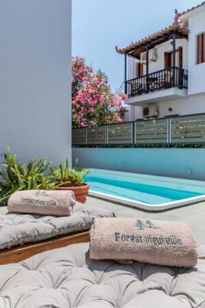 Forest View Villa Skopelos Pool Villa Neo Klima