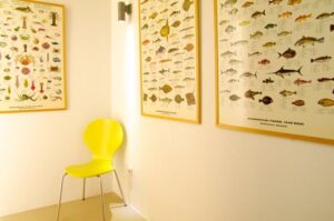 Skopelos Villa Grenadine