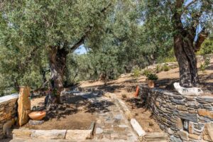 Skopelos Pool Villa Ifigenia