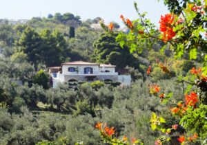 Skopelos Villa Kamares