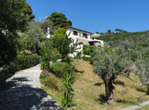 Skopelos Villa Kamares