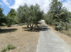 Skopelos Pool Villa Accommodation