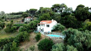 Skopelos Olive Mill Cottage