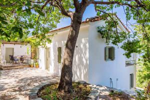 Skopelos Olive Mill Cottage